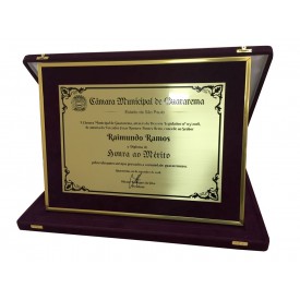 Placa de Homenagem Com Moldura e Estojo