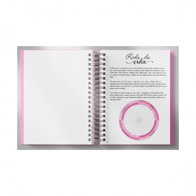 Planner Feminino permanente  Rosa e azul em Wire-o 