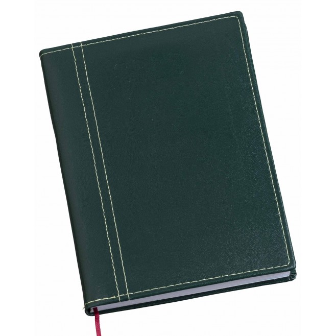 Agenda Diária Personalizada Com Recorte em Na Mesma Cor - 9 Opções