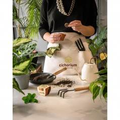 Conjunto de jardinagem